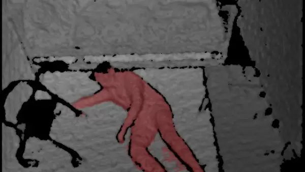 cogvis AI - mehr als ein Sturzsensor